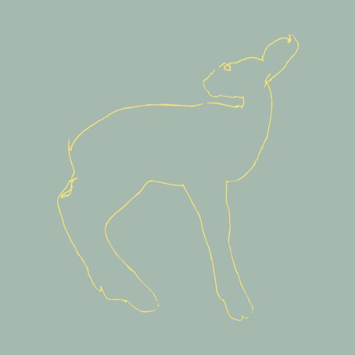 Songs: Ohia - Hecla & Griper (15th Anniversary Edition) - Vinyl Record