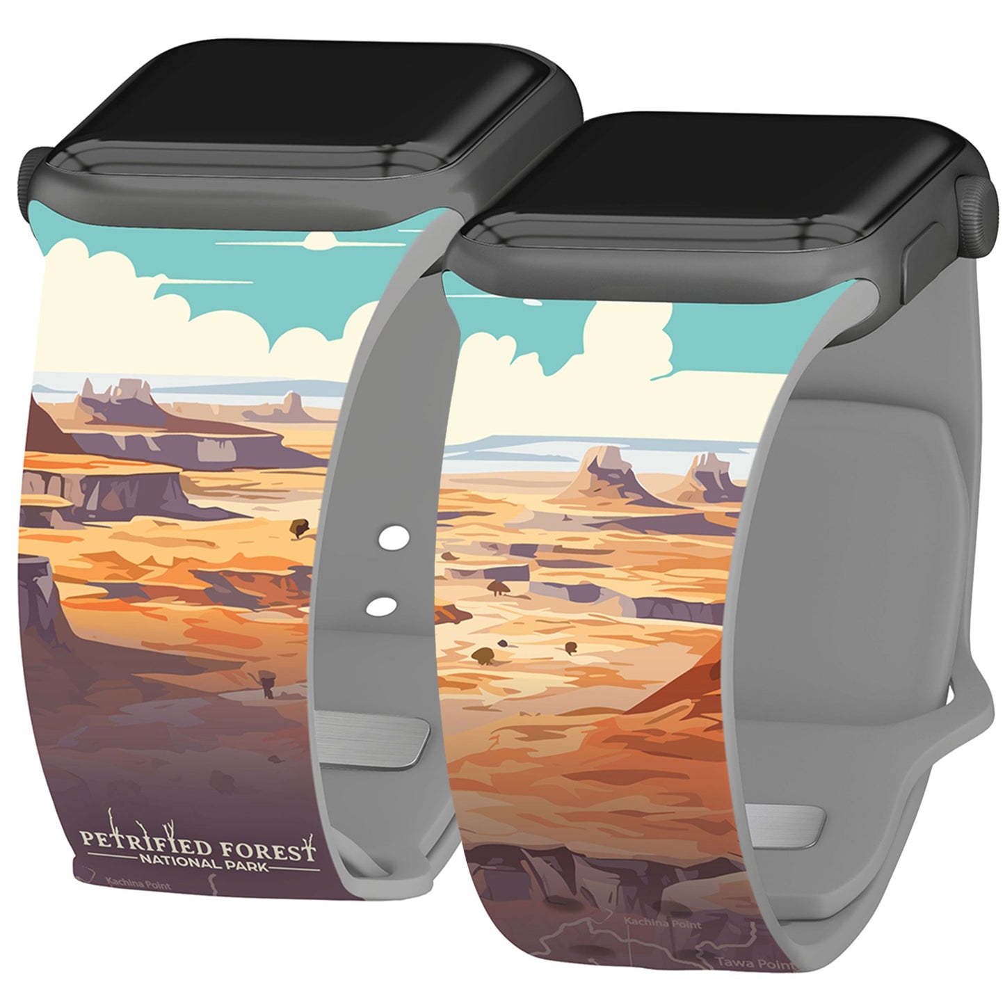 National Parks Petrified Forest HD Fitbit Versa 3 & Sense 1 Watch Band