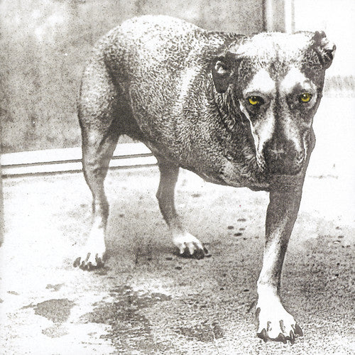Alice In Chains - Alice In Chains - Music CD