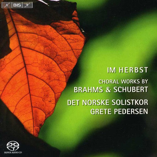 Brahms / Andsnes / Det Norske Solistkor / Pedersen - Nine Songs From Zigeunerlieder - Super Audio CD