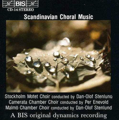 Scandinavian Choral Music / Various - Scandinavian Choral Music / Various - Music CD