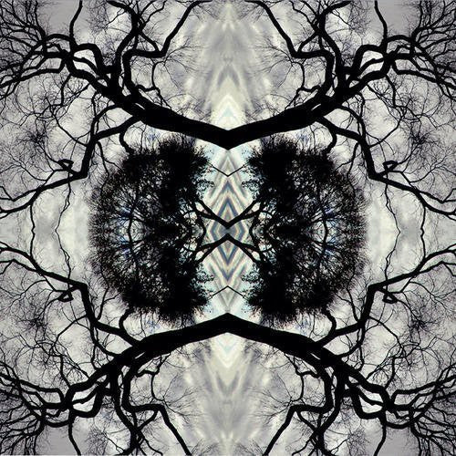 Rudolph,adam - Sonic Mandala Go: Organic Orchestra - Music CD