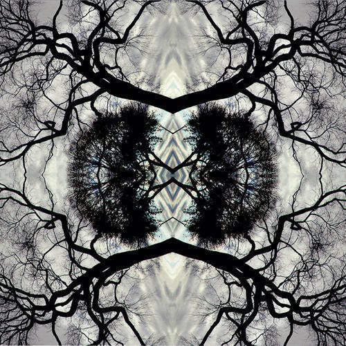 Rudolph,adam - Sonic Mandala Go: Organic Orchestra - Vinyl Record