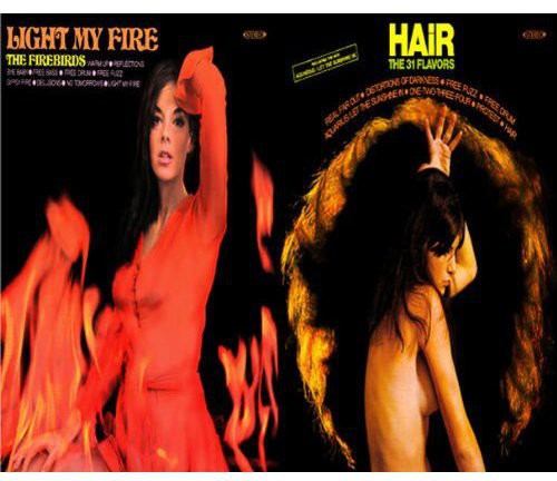 Firebirds / 31 Flavors - Light My Fire / Hair - Music CD