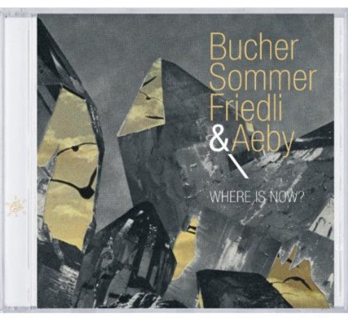 Bucher,michael / Sommer,patrick / Friedli,tobias - Where Is Now - Music CD