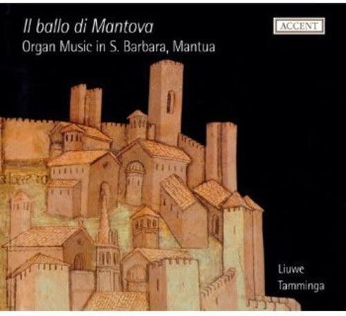 Bargnani / Tamminga,liuwe - Organ Music S. Barbara Mantua - Music CD