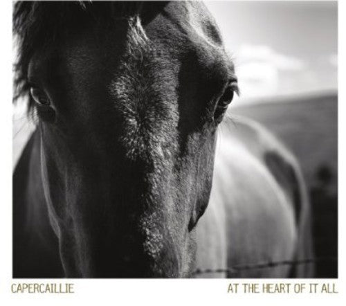 Capercaillie - At the Heart of It All Music CD
