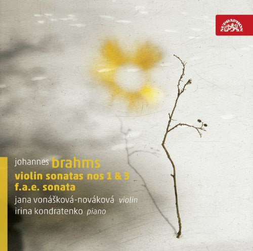 Brahms / Dietrich / Schumann / Vonaskova - Violin Sonatas Music CD