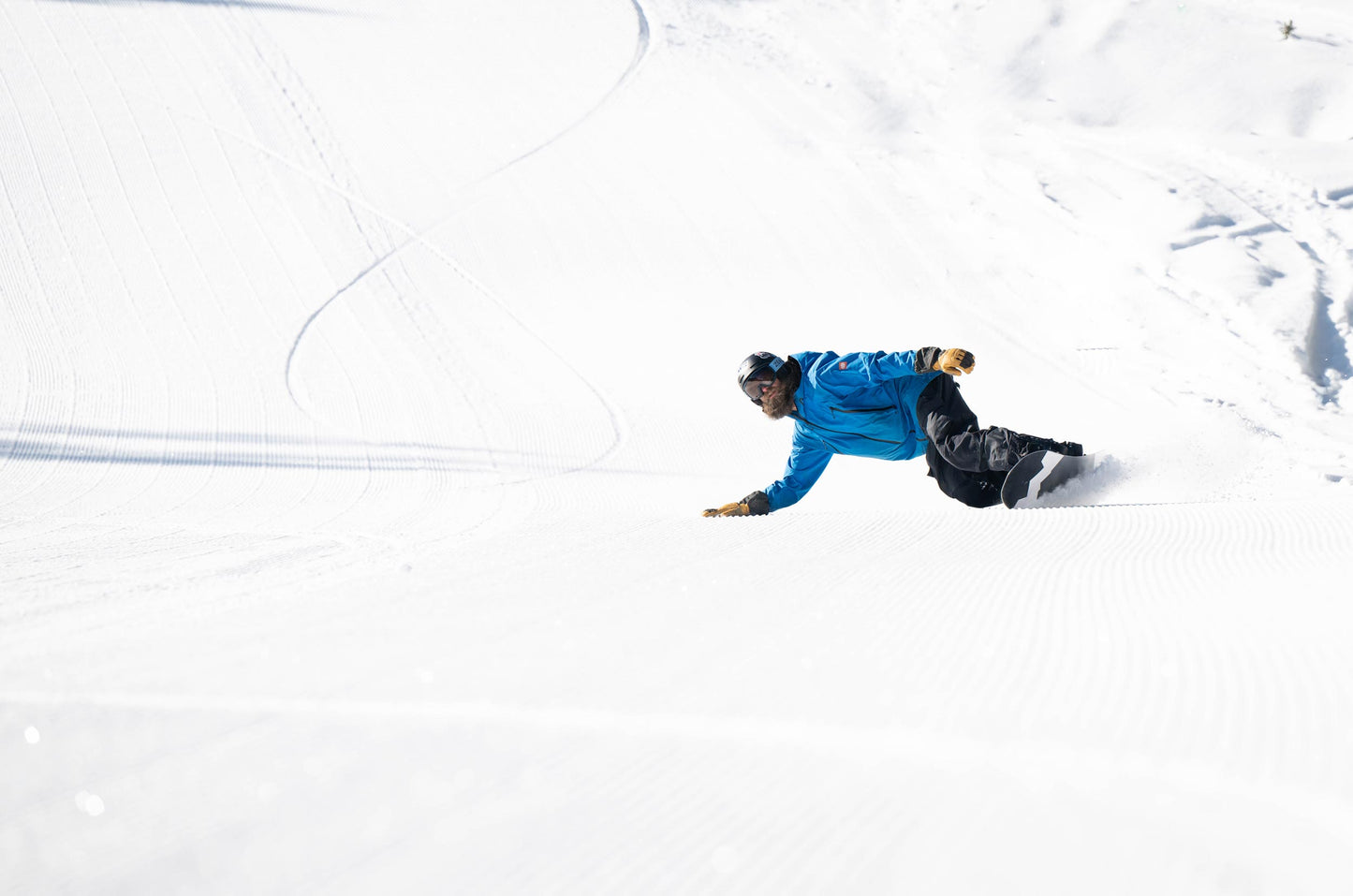 Gnarnia Snowboard