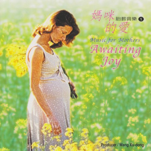 Nanjing Chinese Traditional Orchestra - Awaiting Joy - Music CD