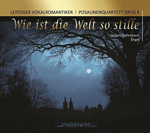 Leipziger Vokalromantiker - Wie Ist Die Welt So Stille - Music CD