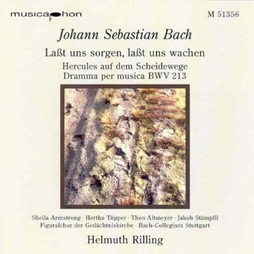 Bach,j.s. / Rilling - Lasst Uns Sorgen Lasst Uns Wachen - Music CD