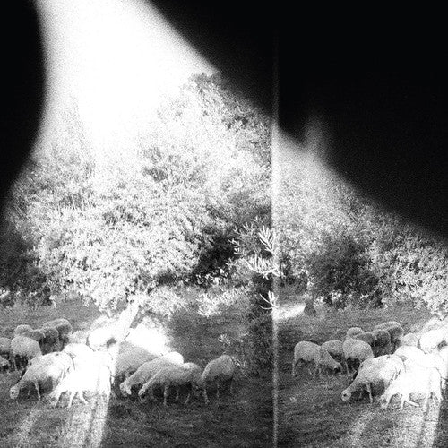 Godspeed You Black Emperor - Asunder Sweet & Other Distress - Music CD