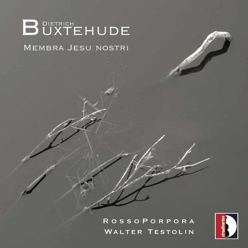 Buxtehude / Rossoporpora / Testolin - Membra Jesu Nostri - Music CD