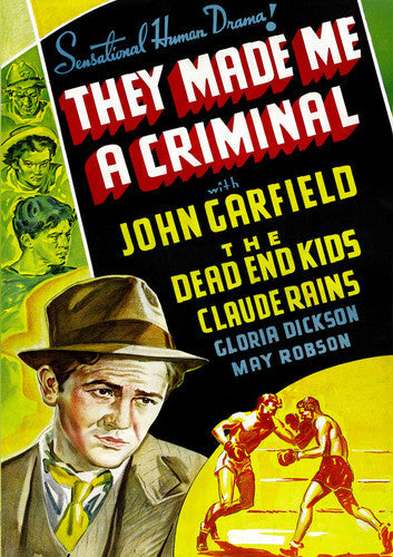 They Made Me A Criminal - They Made Me A Criminal - DVD