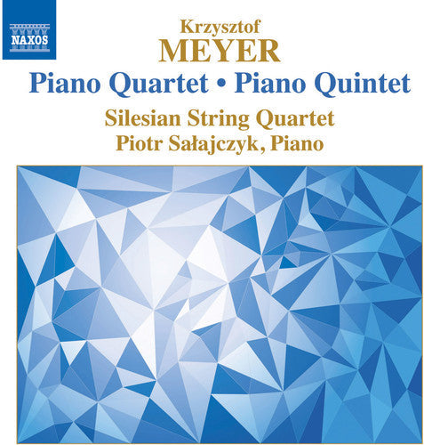 Meyer / Silesian String Quartet / Salajczyk - Piano Quartet Op. 112 - Piano Quintet Op. 66 - Music CD
