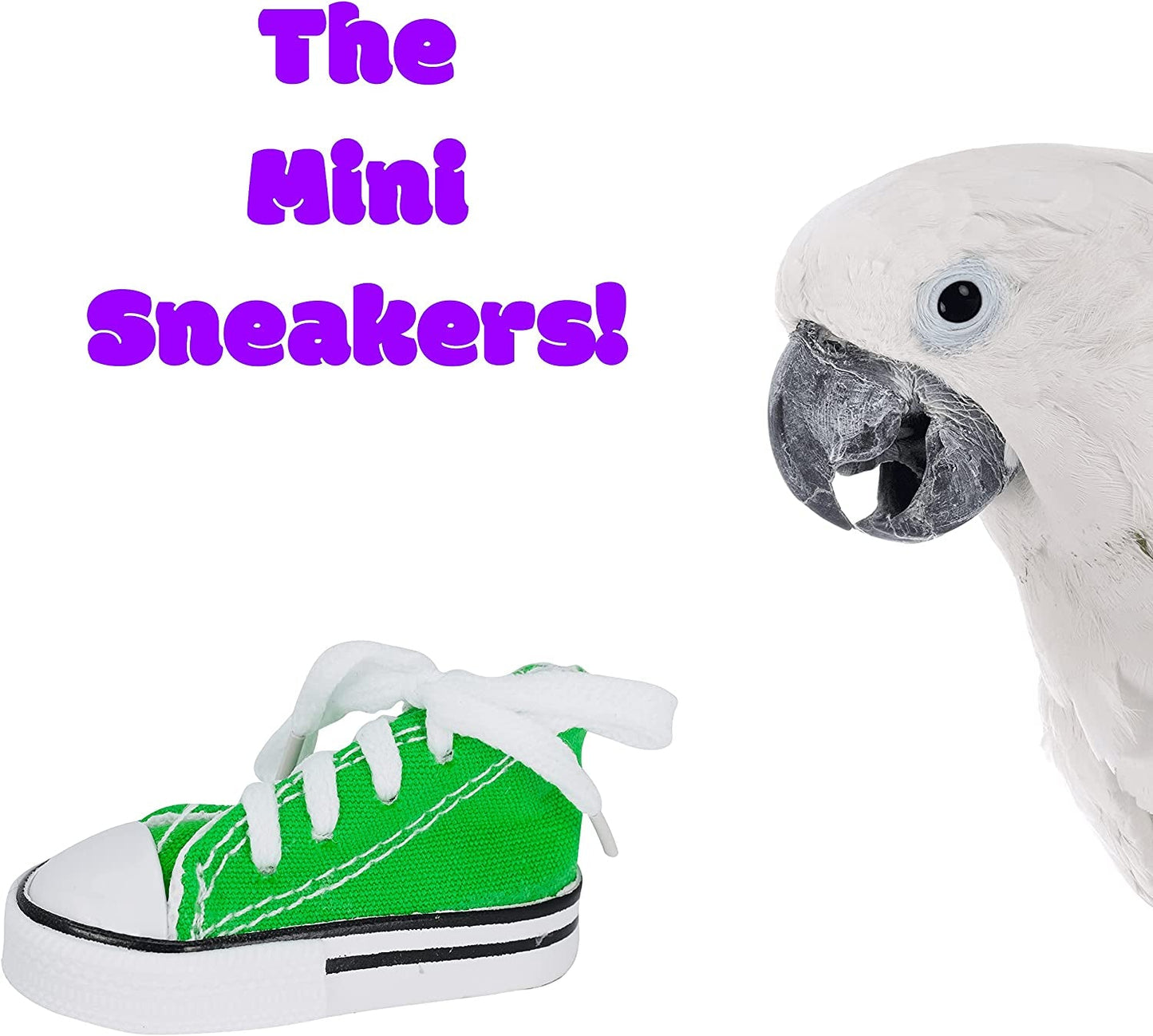 12 Mini Sneakers Foot Beak Parrot Parrotlet Quaker Budgie Finch Conure Cockateil