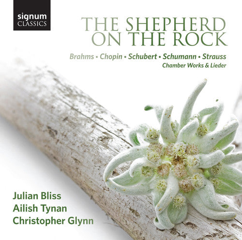 Brahms / Bliss / Tynan / Glynn - Shepherd On The Rock - Works By Brahms Chopin - Music CD