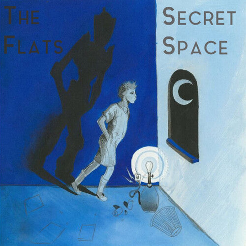 Secret Space / The Flats - Split - Vinyl Record