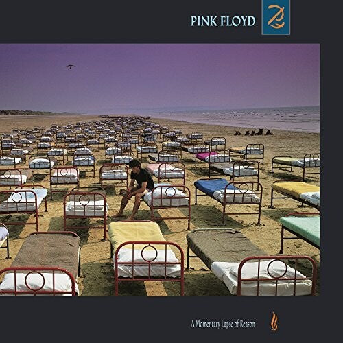 Pink Floyd - Momentary Lapse Of Reason - Vinyl Record