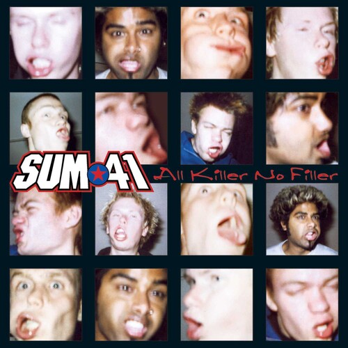 Sum 41 - All Killer No Filler - Vinyl Record