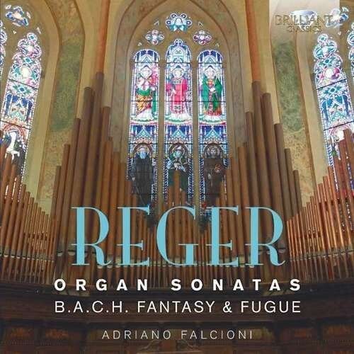 Reger / Falcioni - Reger: Organ Sonatas - Music CD