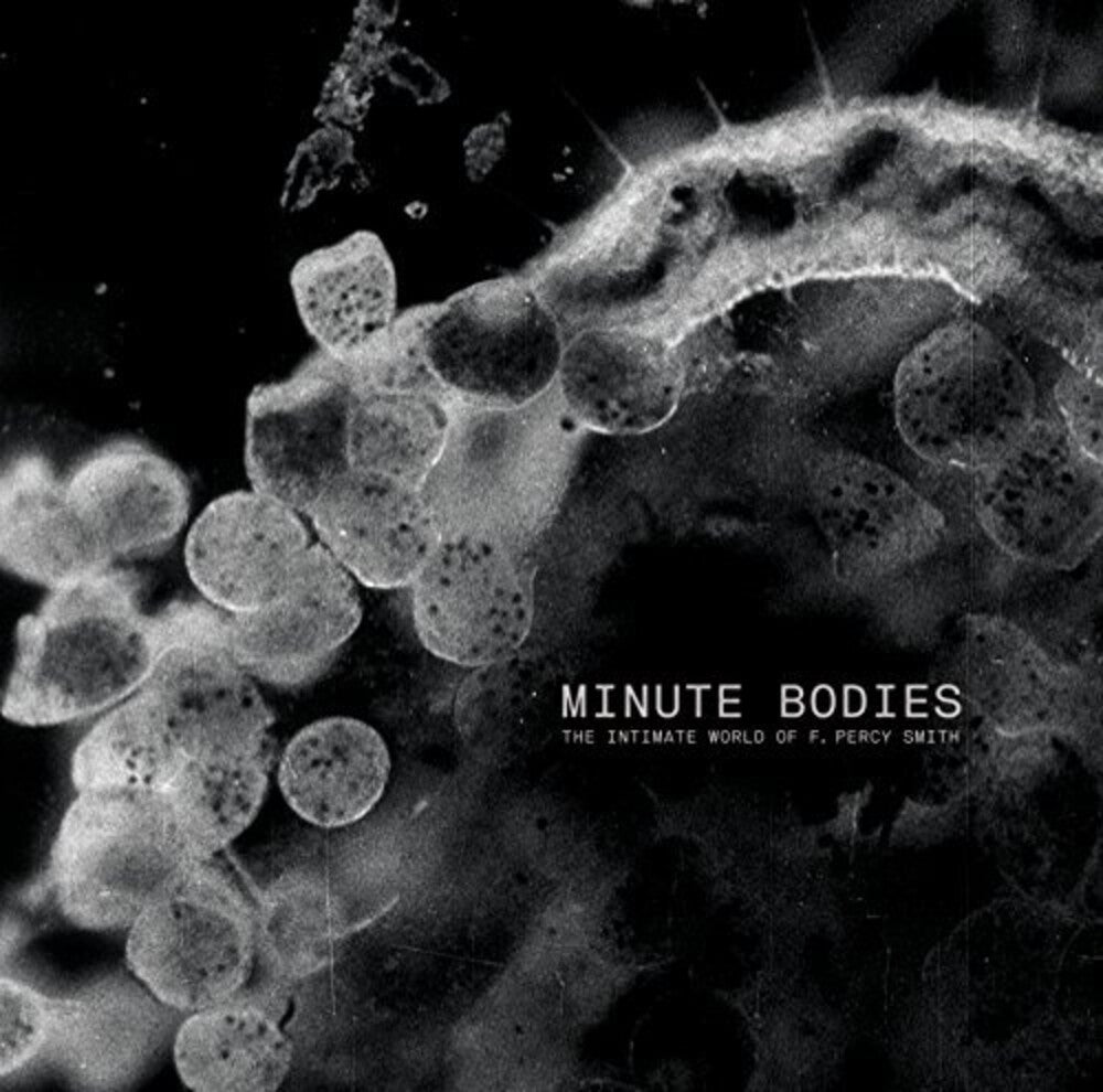 Tindersticks - Minute Bodies: Intimate World Of F. Percy Smith Music CD