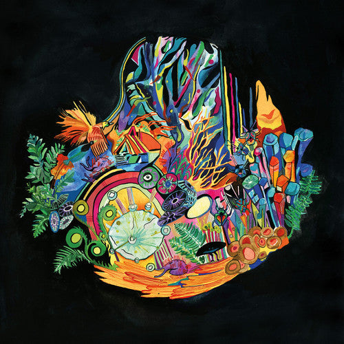 Kaitlyn Aurelia Smith - Ears Music CD