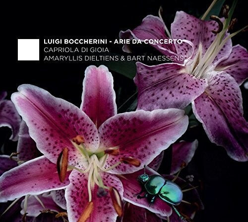 Boccherini / Dieltiens / Naessens - Boccherini: Arie Da Concerto - Music CD