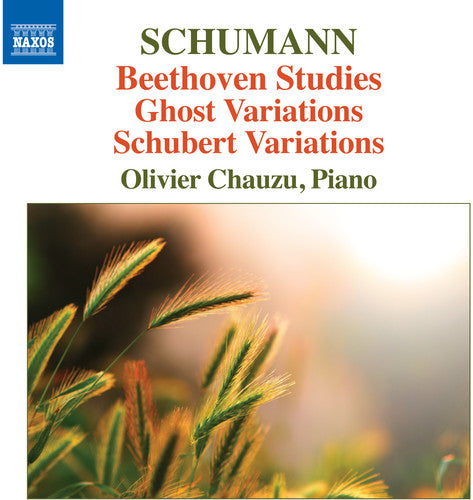 Schumann,robert / Chauzu,olivier - Beethoven Studies Ghost Variations & Schubert - Music CD