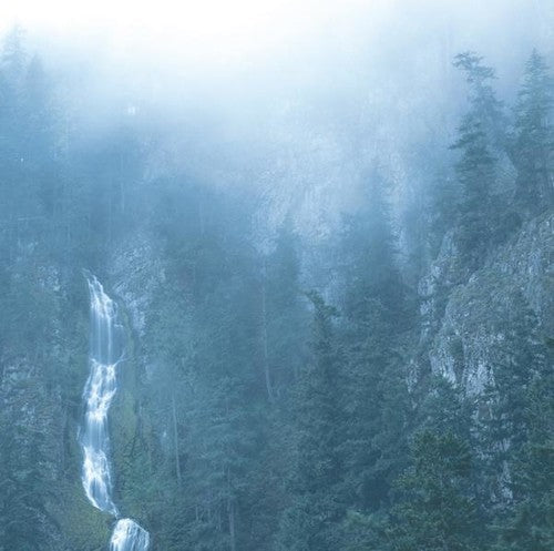 Wolves In The Throne Room - Diadem Of 12 Stars - Vinyl Record