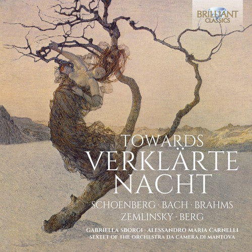 Zemlinsky / Sborgi - Towards Verklarte Nacht - Music CD