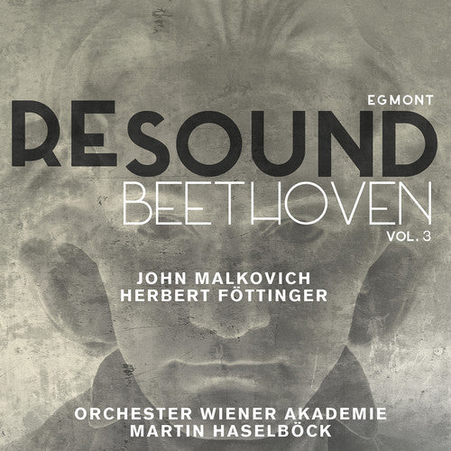 Beethoven,l.v. / Bobro,bernarda / Haselbock,martin - Resound: Beethoven 3 - Music CD