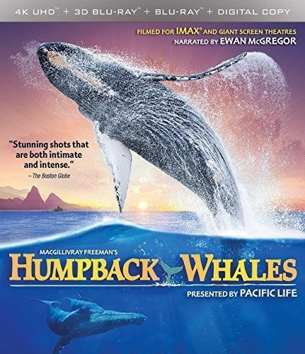Imax: Humpback Whales - Imax: Humpback Whales - UHD