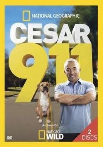 Sella,cesar - 60 Todas Las Voces - Music CD