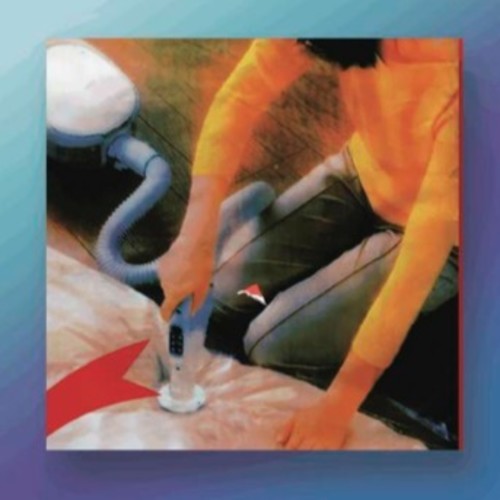 Macula Dog - Why Do You Look Like Your Dog - Music CD