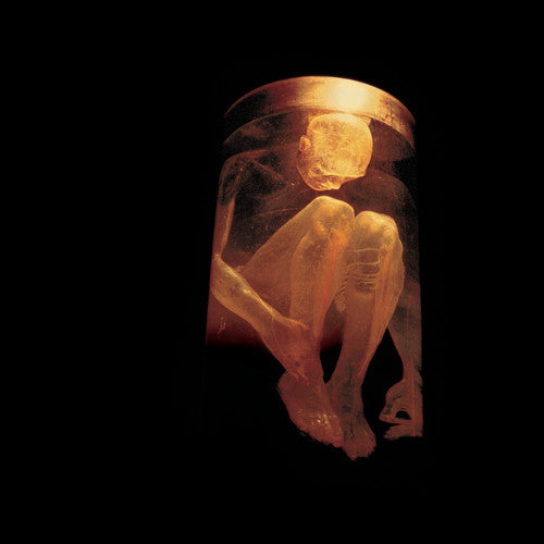 Alice In Chains - Nothing Safe: Best Of - Music CD