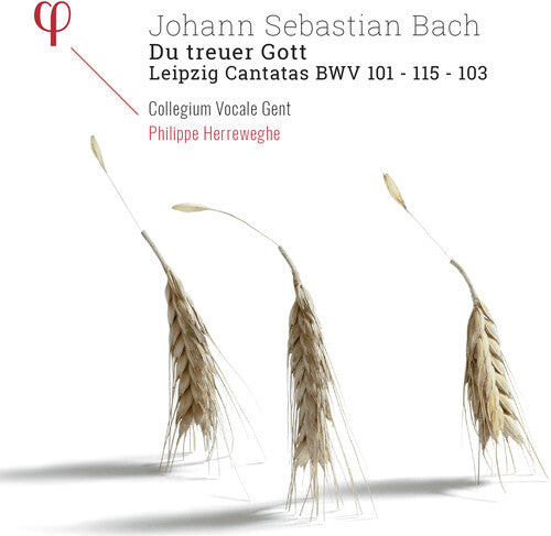 Bach,j.s. / Herreweghe - Du Treuer Gott / Leipzig Cantatas - Music CD