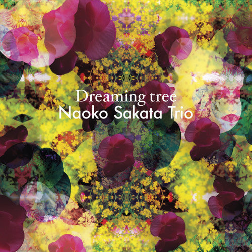 Various / Various - Dreaming Tree Music CD