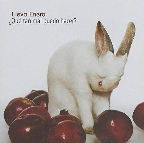 Enero,lleva - Que Tan Mal Puedo Hacer - Music CD