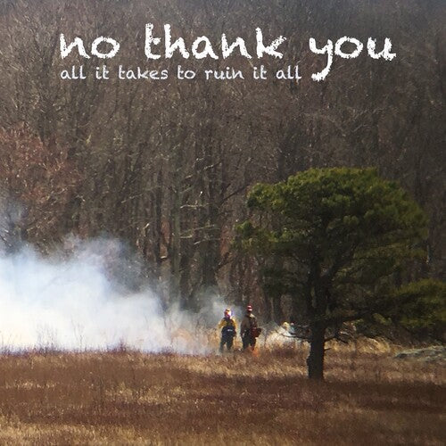 No Thank You - All It Takes To Ruin It All - Music CD