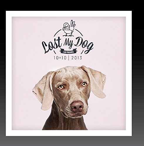 Lost My Dog 10x10: 2013 / Var - Lost My Dog 10x10: 2013 / Var - Music CD