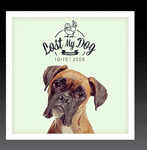 Lost My Dog 10x10: 2008 / Var - Lost My Dog 10x10: 2008 / Var - Music CD