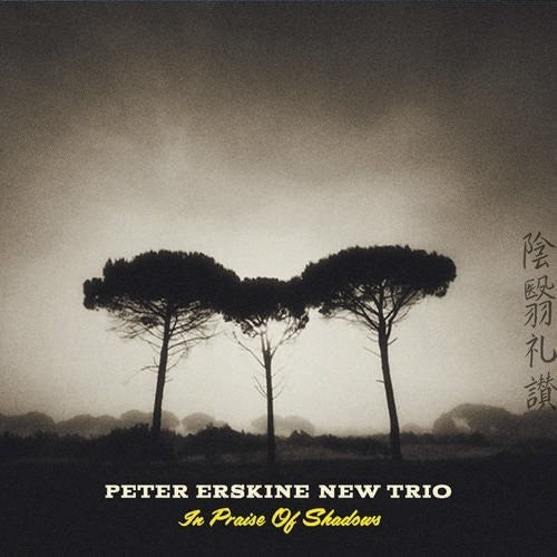 Erskine,peter New Trio - In Praise Of Shadows - Music CD
