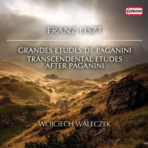 Liszt / Walaczek - Transcendental Etudes After Paganini - Music CD