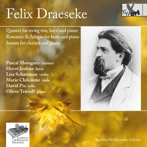 Draeseke / Moragues / Schatzman / Triendl - Felix Draeseke: Chamber Music - Music CD