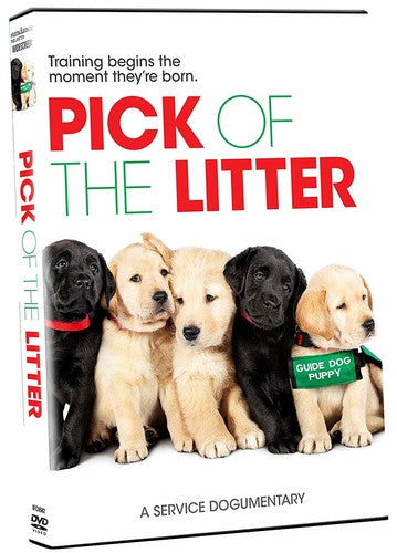 Pick Of The Litter - Pick Of The Litter - DVD