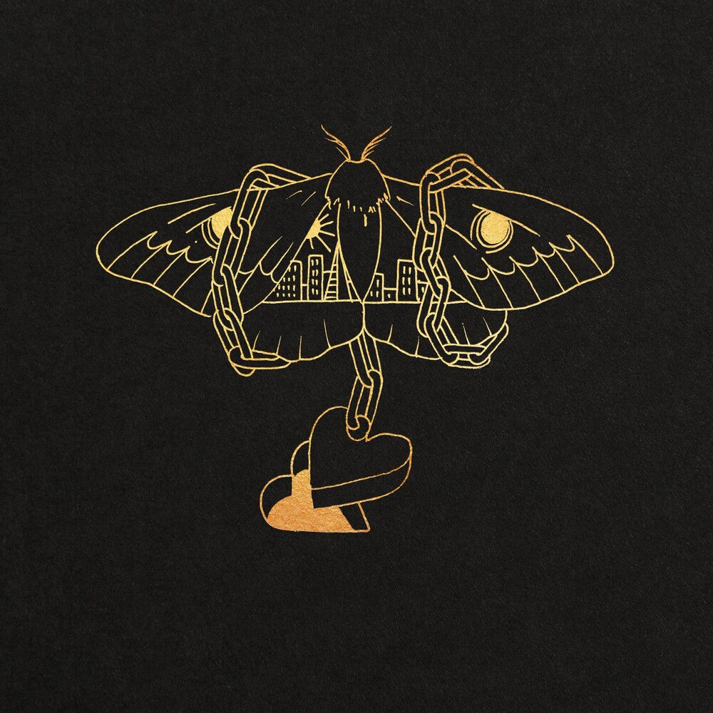 David Gray - Gold in a Brass Age Music CD