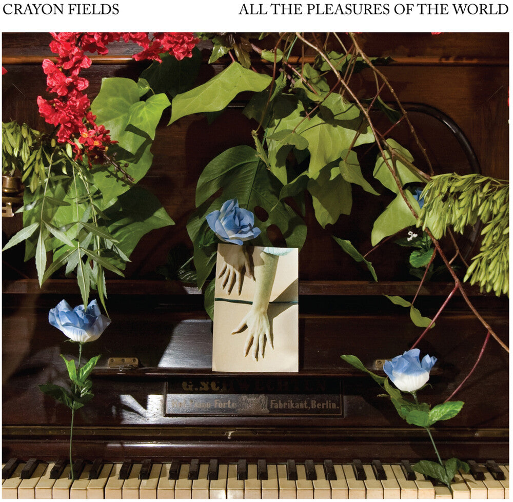 Crayon Fields - All the Pleasures Of the World Music CD