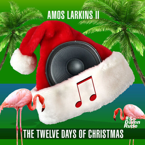 Amos Larkins Ii - Twelve Days Of Christmas - Music CD